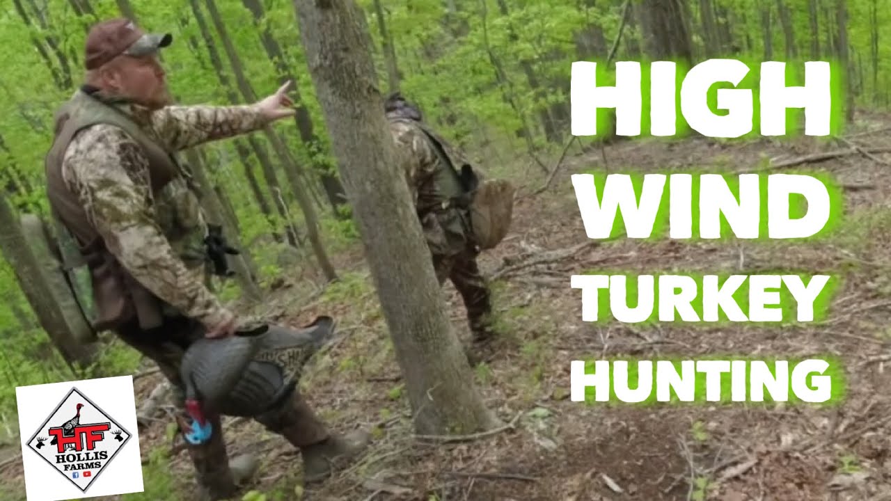 HIGH WIND TURKEY HUNTING 🦃 In The Mountains Of Kentucky