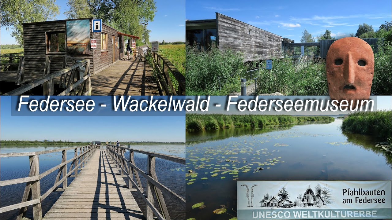 Federsee bei Bad Buchau | Wackelwald | Federseemuseum