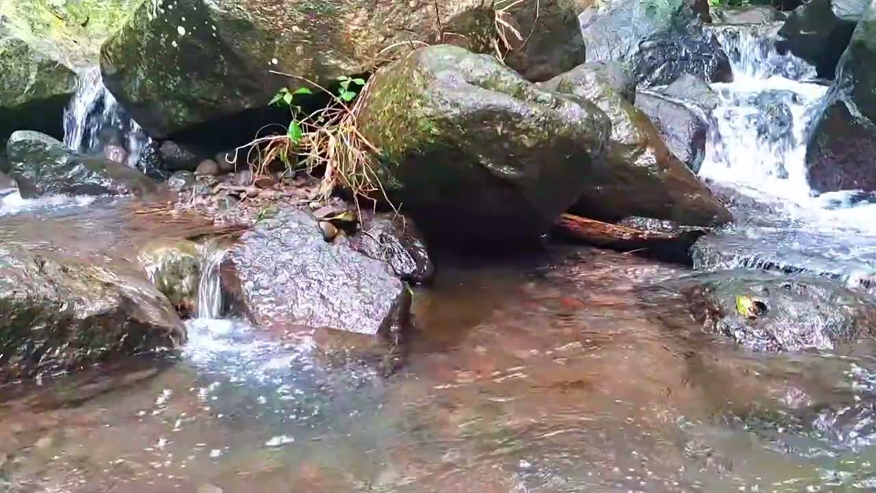 Forest River Sounds for Quiet Rest
