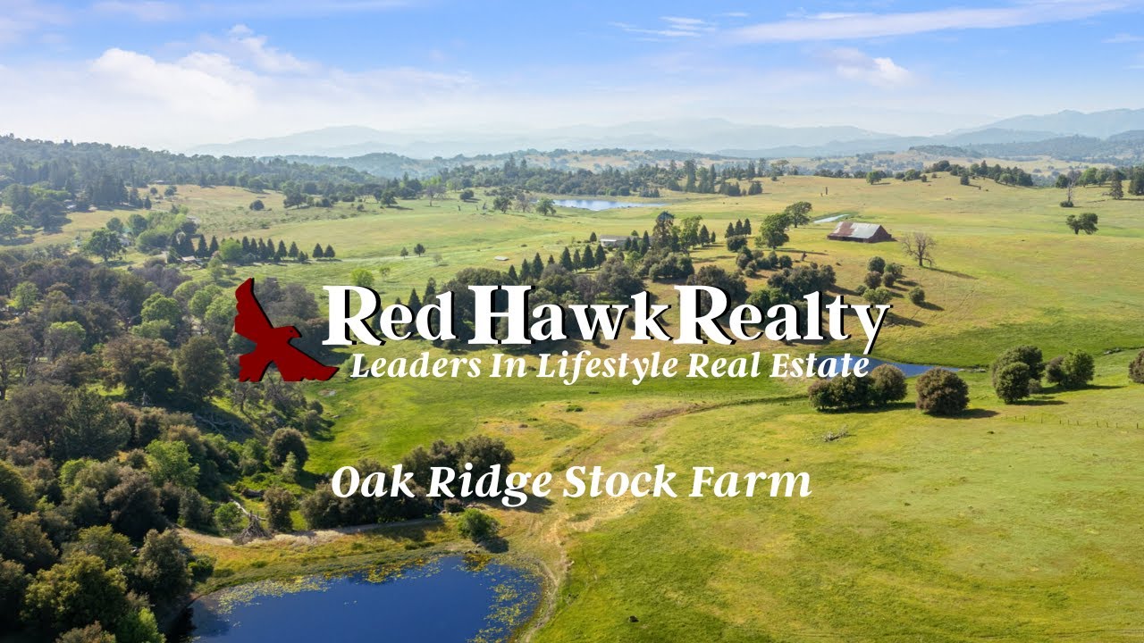 Oak Ridge Stock Farm - Julian Legacy Ranch