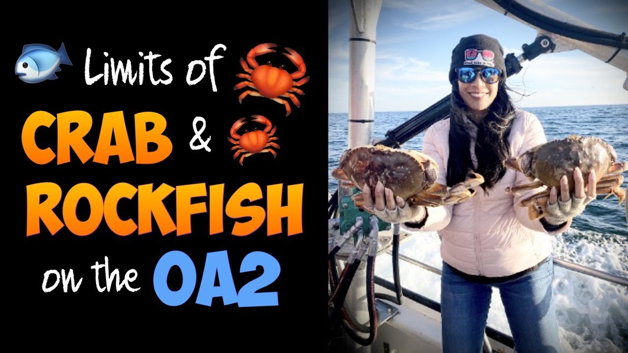 STACY & HER FRIENDS CATCH CRABS! 🦀 - Rockfish & Dungeness Crab Limits Aboard the Oakland Anglers II