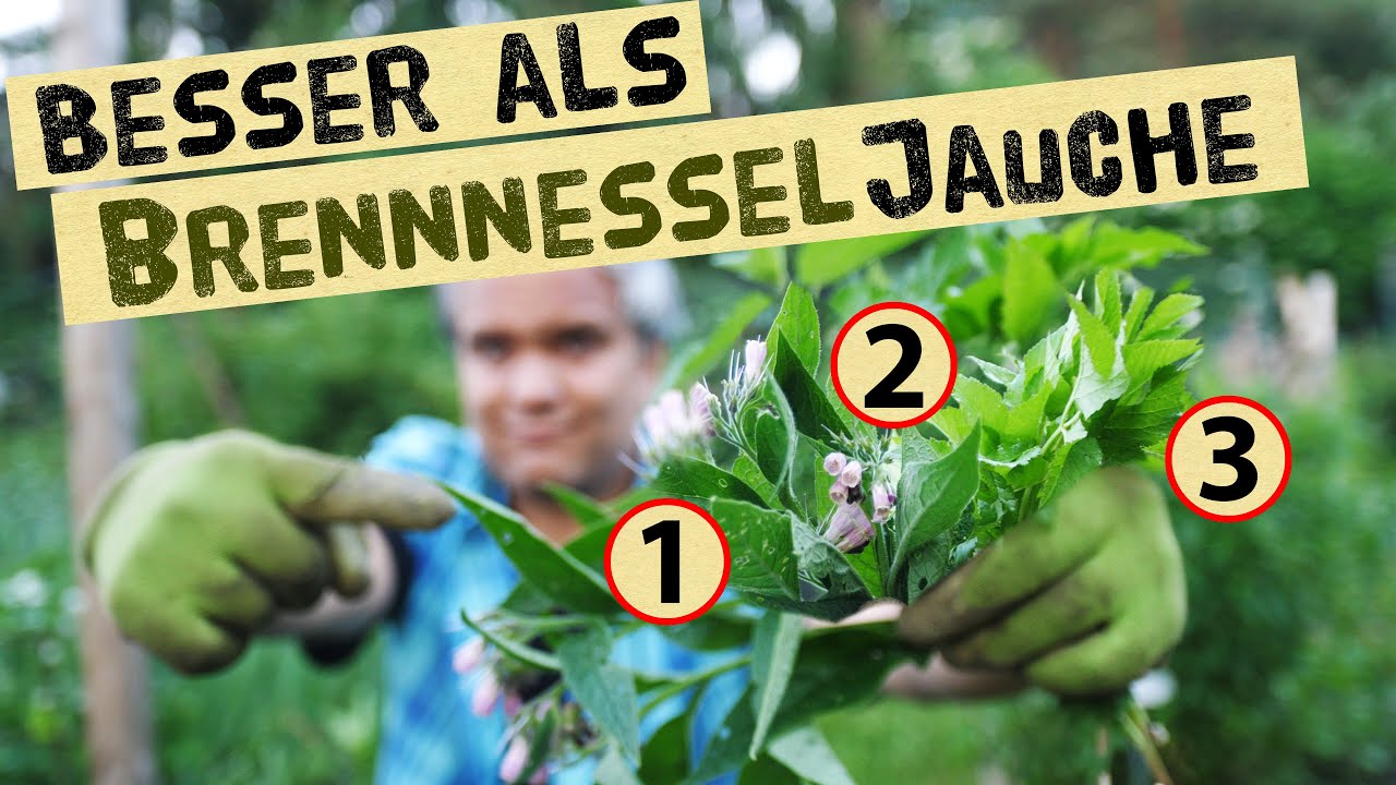 3-Pflanzen Jauche,  Brennesseljauche herstellen, anwenden, dosieren und  lagern für Selbstversorger