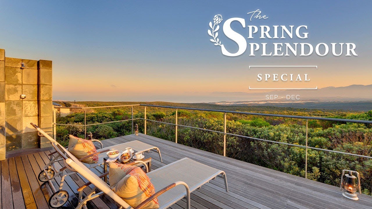 The Spring Splendour | Grootbos Private Nature Reserve