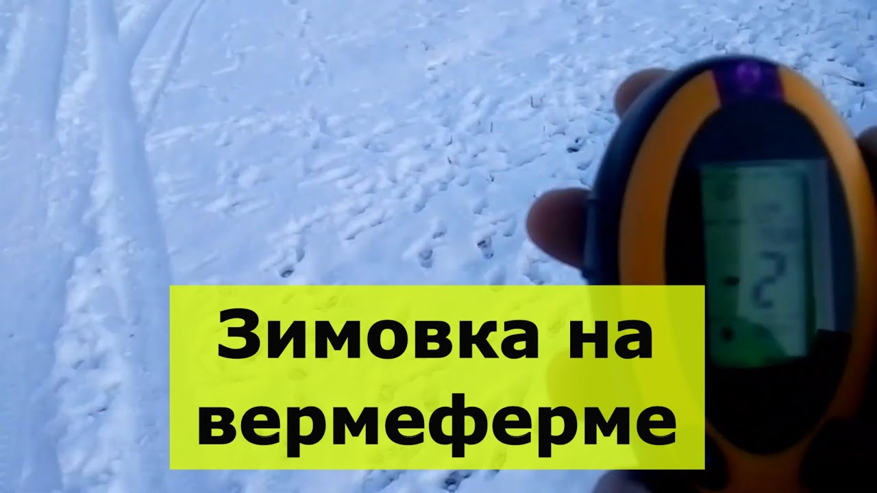 Разведение червей в Зачепиловке. Зимовка вермифермы.