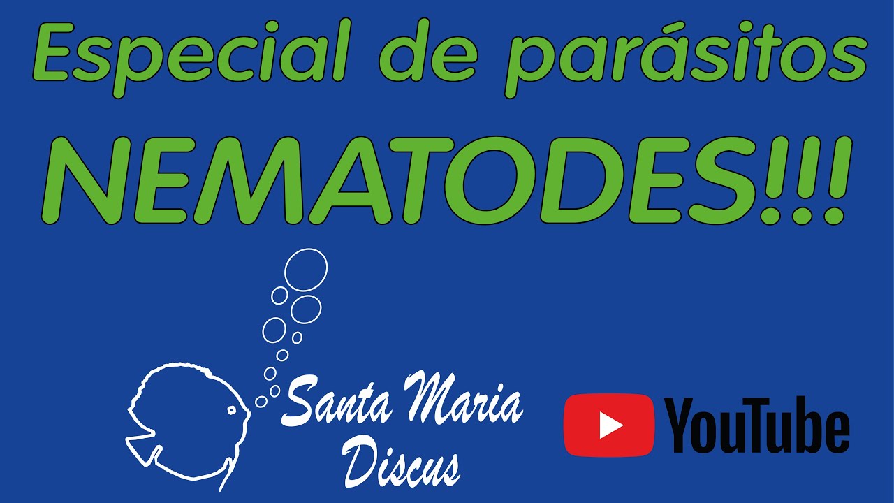 ESPECIAL PARASITOS NEMATODES  - SANTA MARIA DISCUS