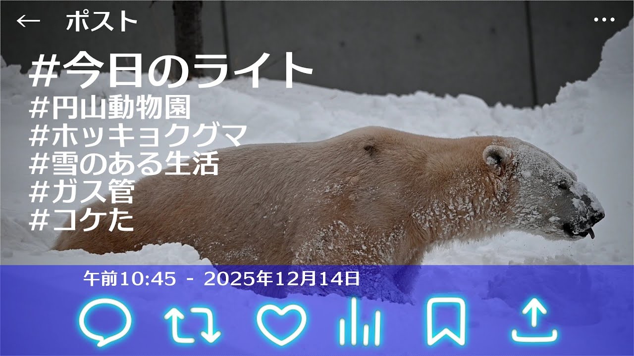 今日のライト 2025/12/14