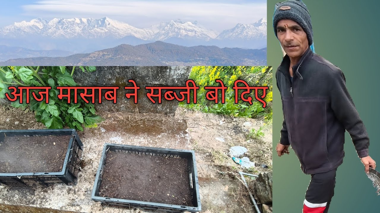 पहाड़ों का जीवन # सब काम समय पर करने पड़ते हैं 