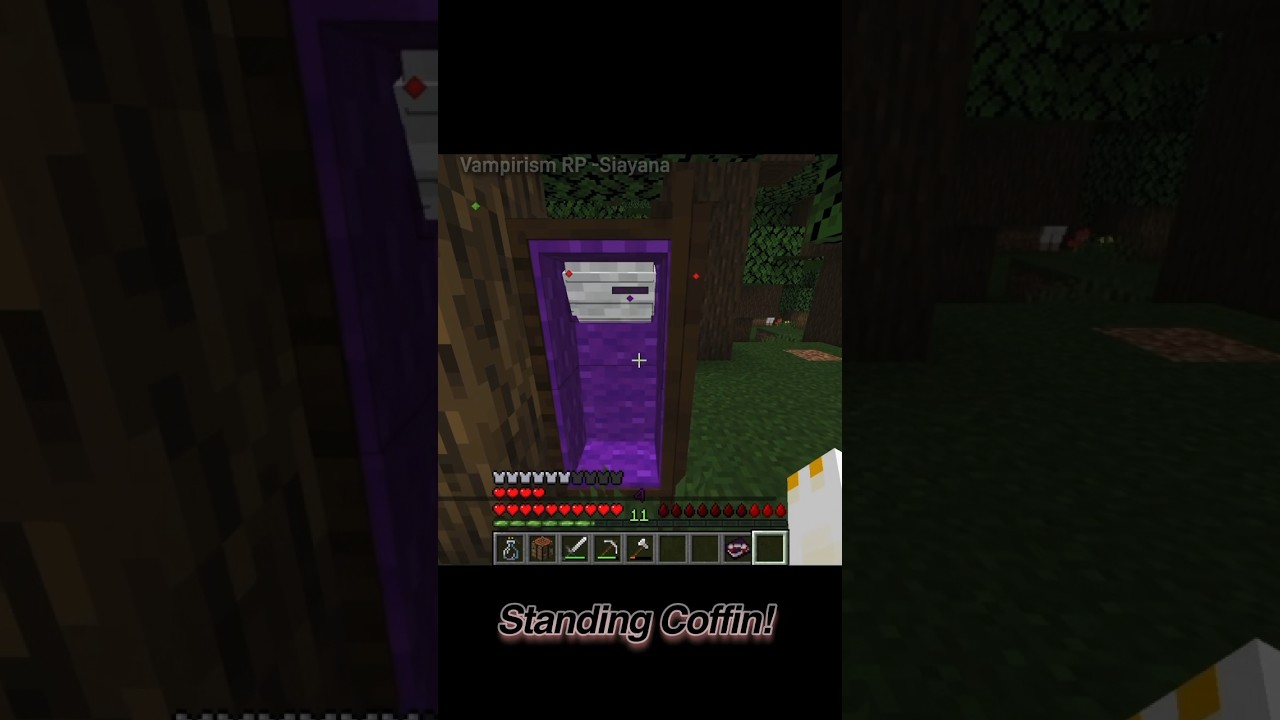 Standing Coffin!              [Vampirism] #minecraft #gaming #moddedminecraft #roleplay #vampire