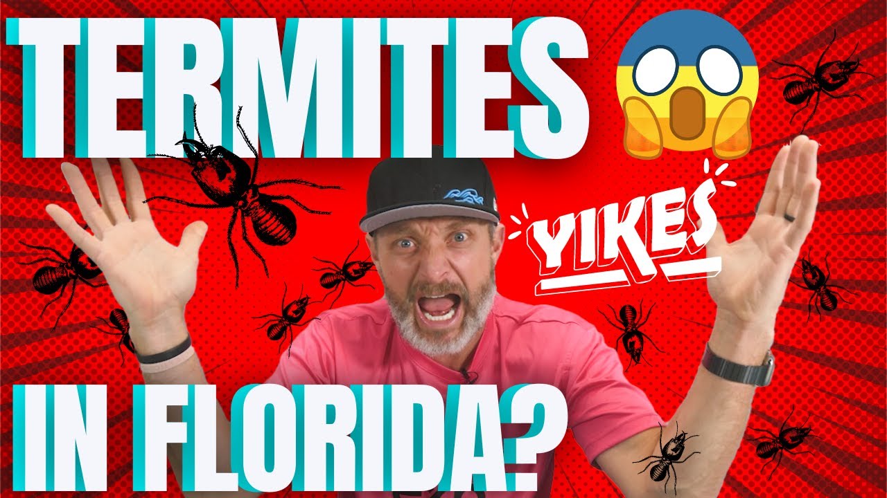 TERMITES IN FLORIDA: THE TRUTH EXPOSED (For New Homeowners)