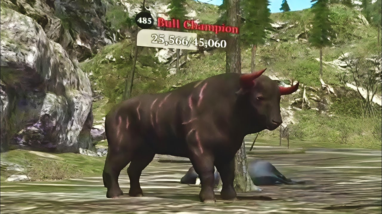 The Wolf - Bull Champion 🏆