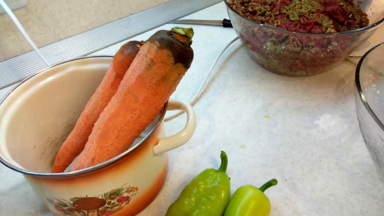 Фарш для дискусов