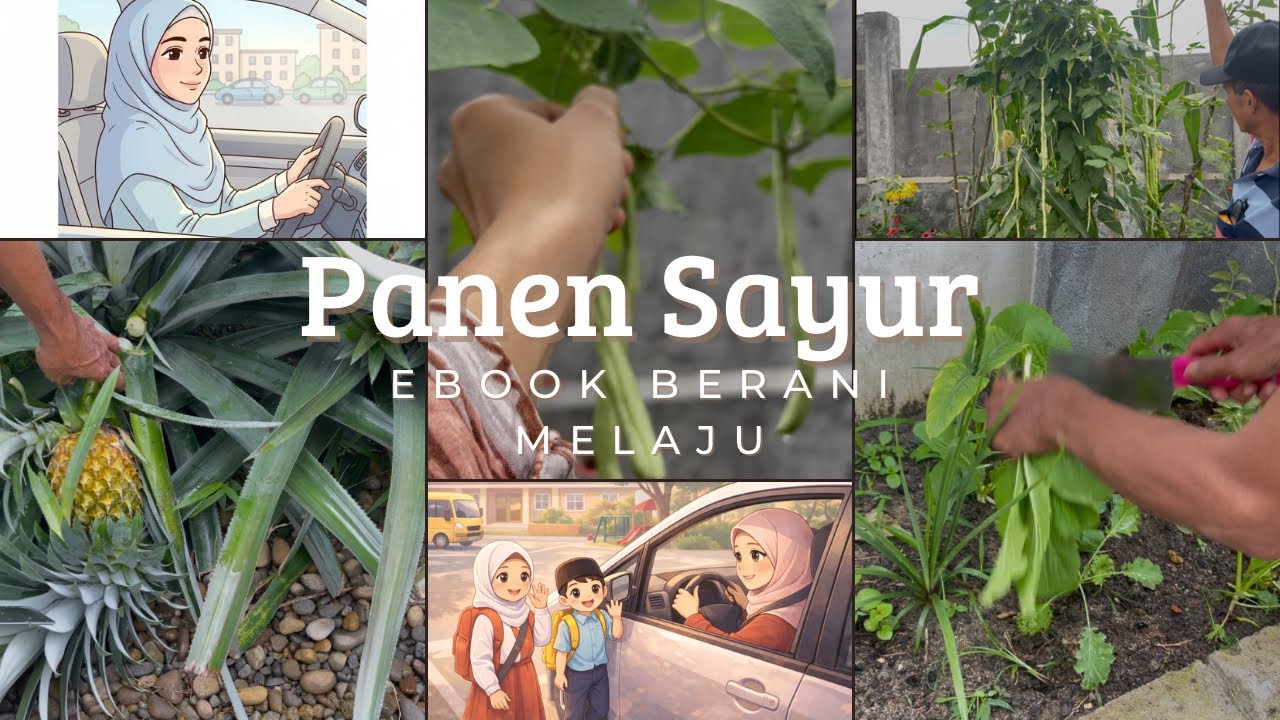 Panen di Halaman Rumah & Cerita Seorang Ibu yang Belajar Berani Melaju Melawan Rasa Takut Menyetir