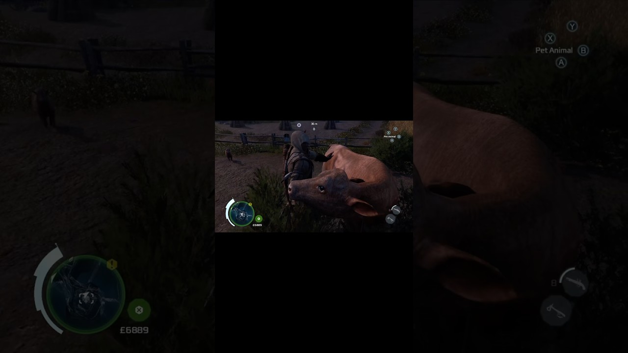 This is a good game 