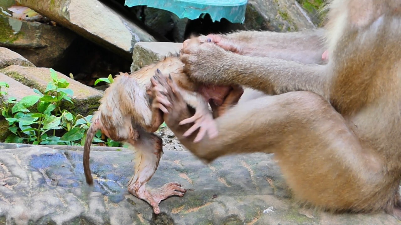 It's wrong action of mom Libby ....Poor mom Libby real does so bad on small Lily |