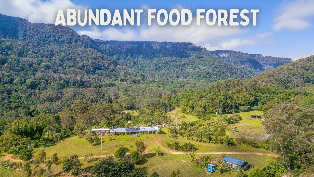 STUNNING Permaculture Property Growing TONS of Food