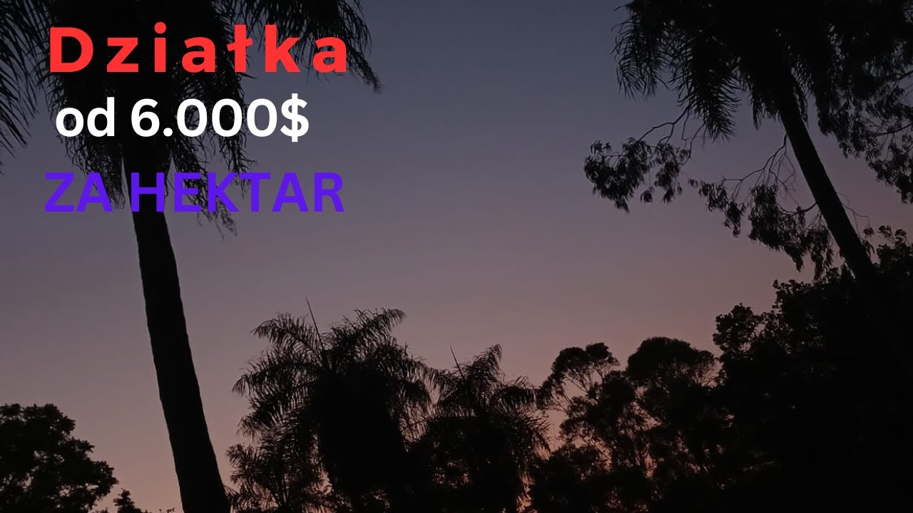 Paragwaj #245 dzialki od 6.000usd/ha #paragwajtv #działka