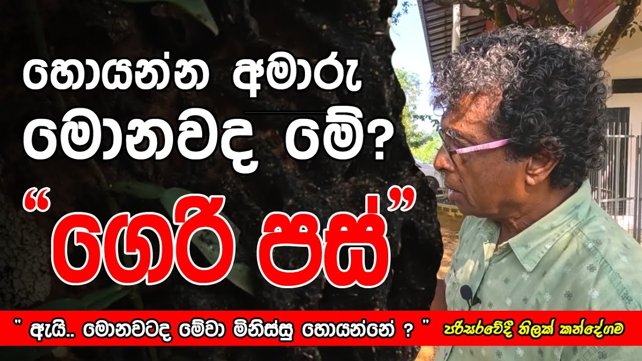 හොයන්න අමාරු.. මොනවද මේ 