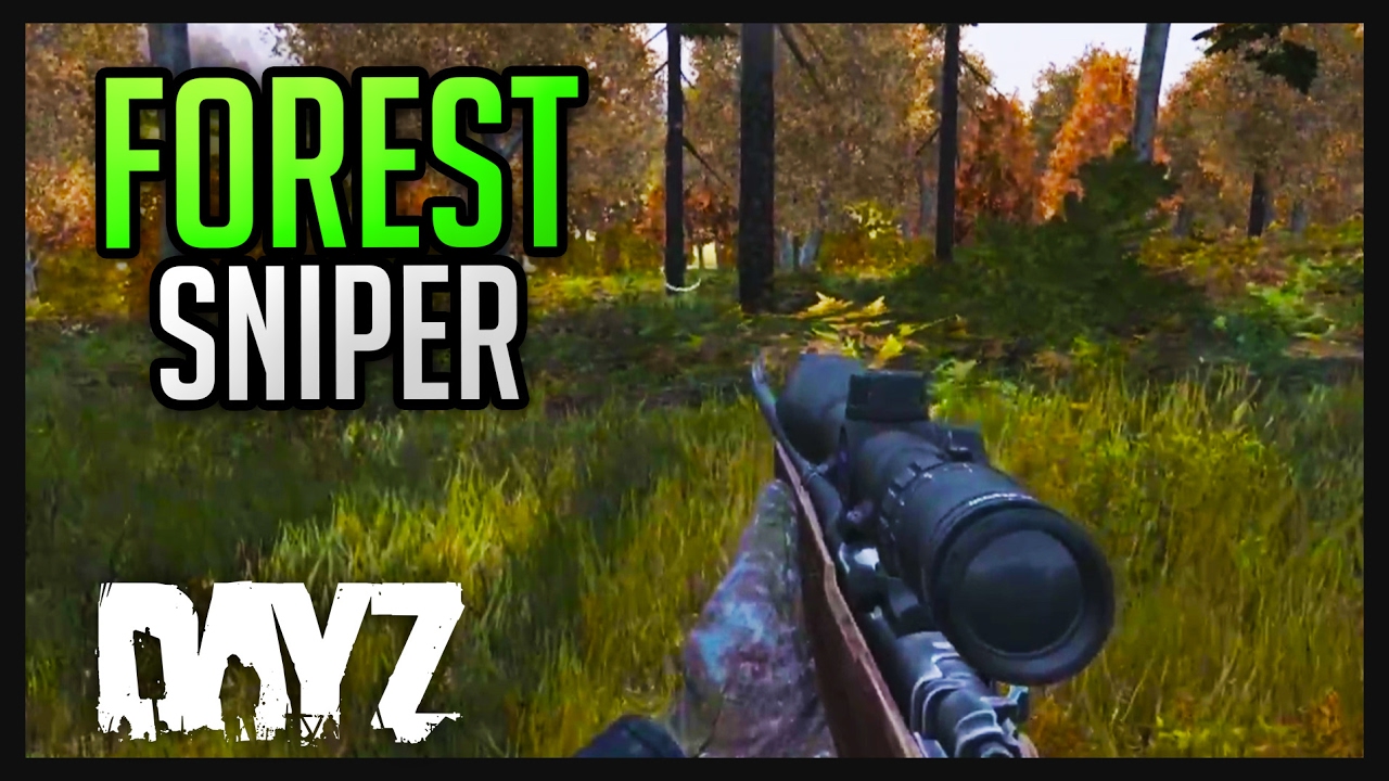 DAYZ .61 GAMEPLAY - FOREST SNIPER