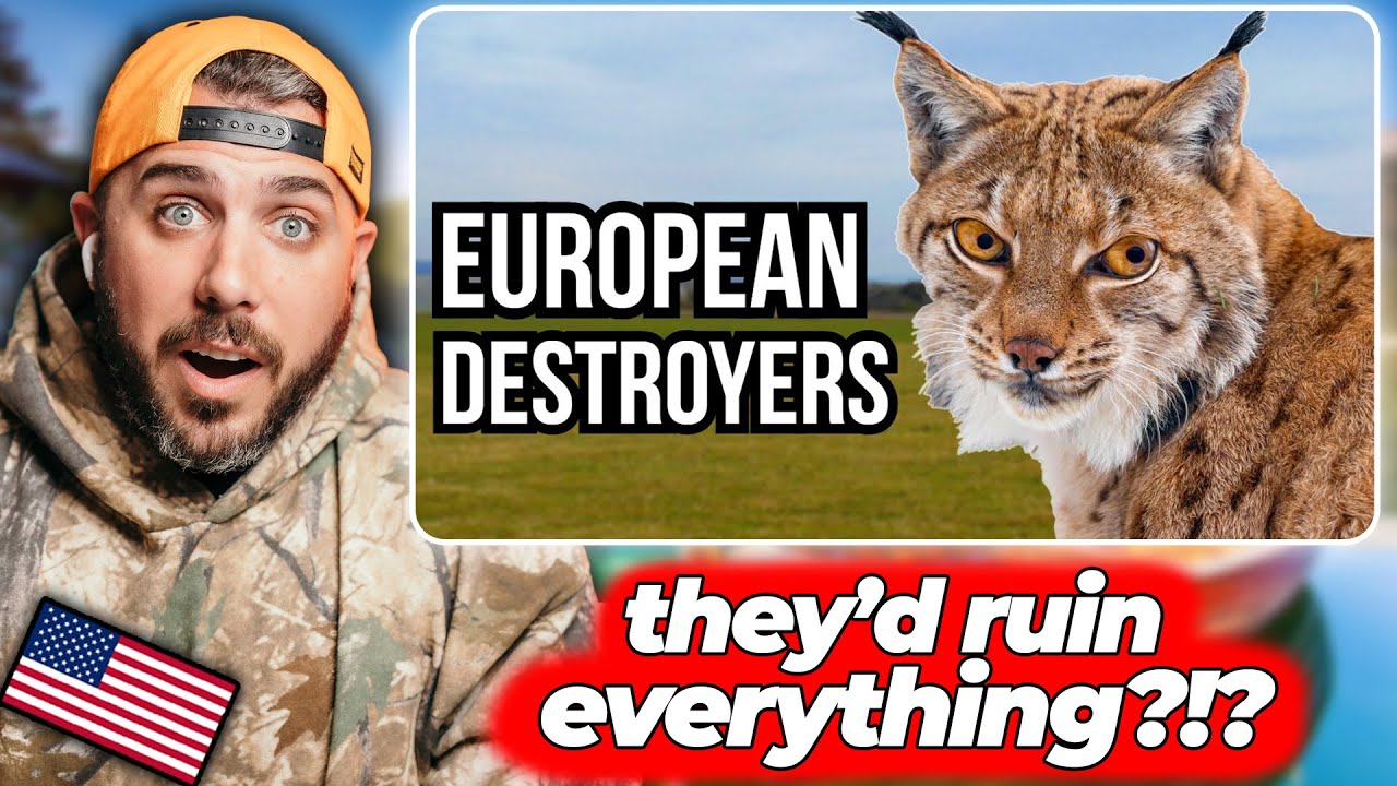American Reacts to European Wildlife That Could WRECK Our Ecosystems