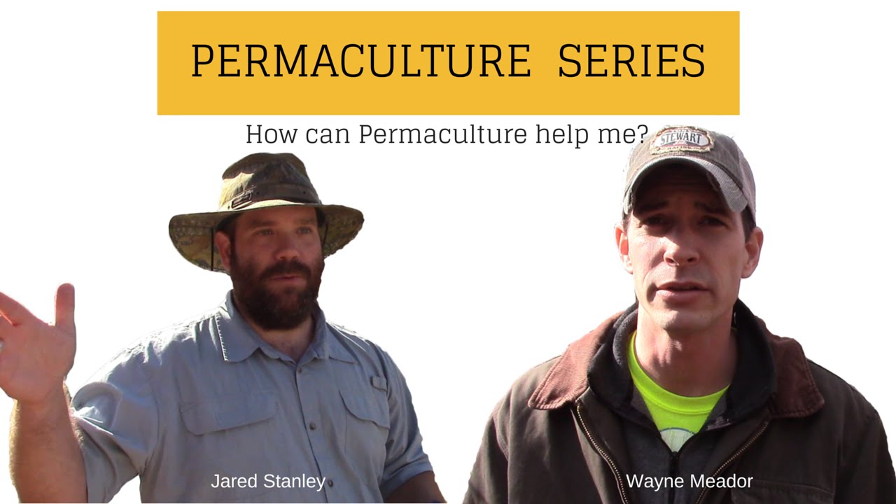 Permaculture Series - How Can Permaculture Help Me?