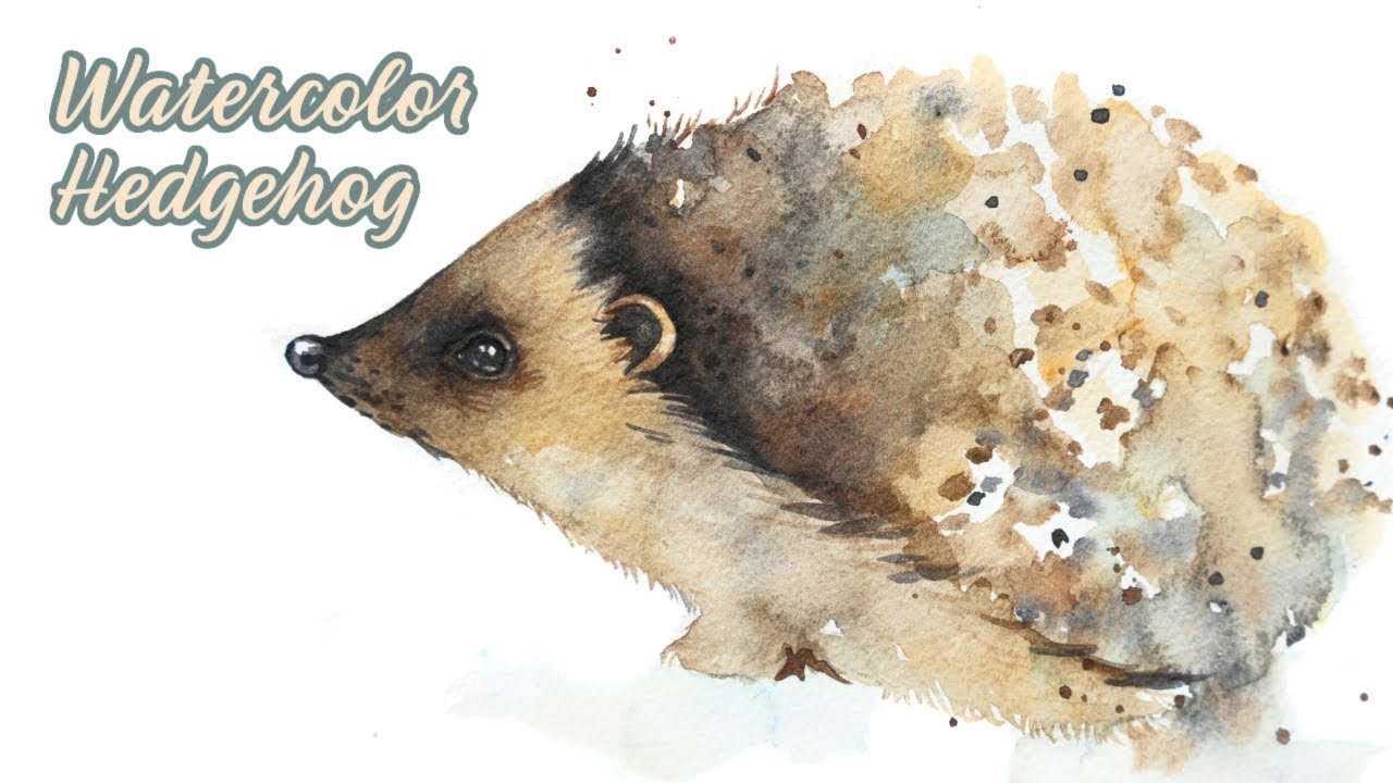 Watercolor Hedgehog Tutorial for Beginners
