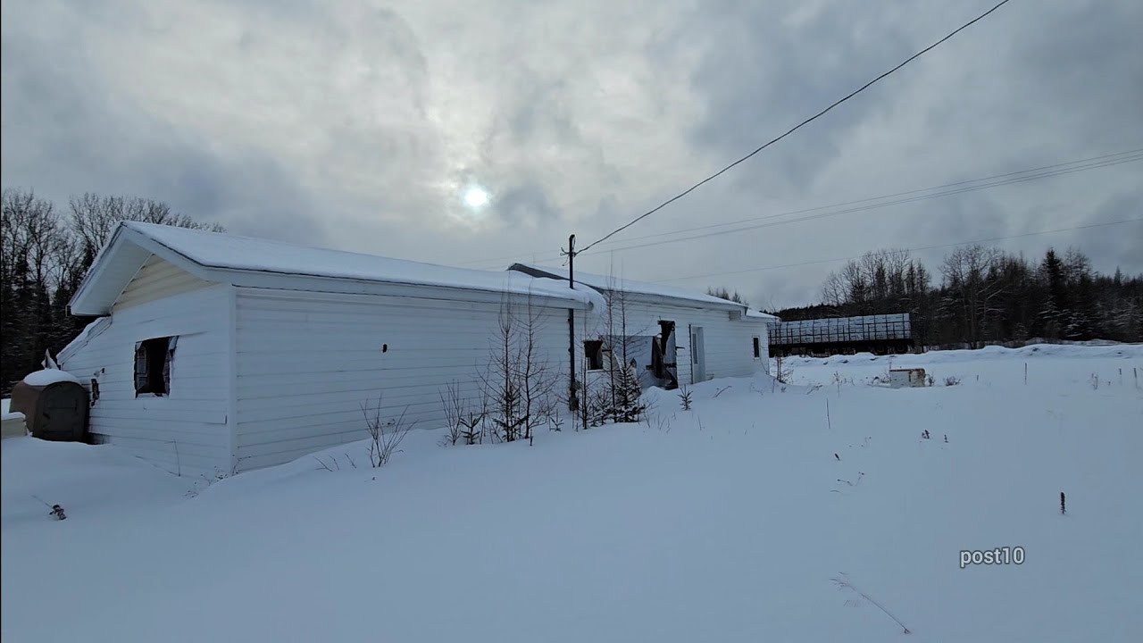 Abandoned House And Roadside Food Exploring