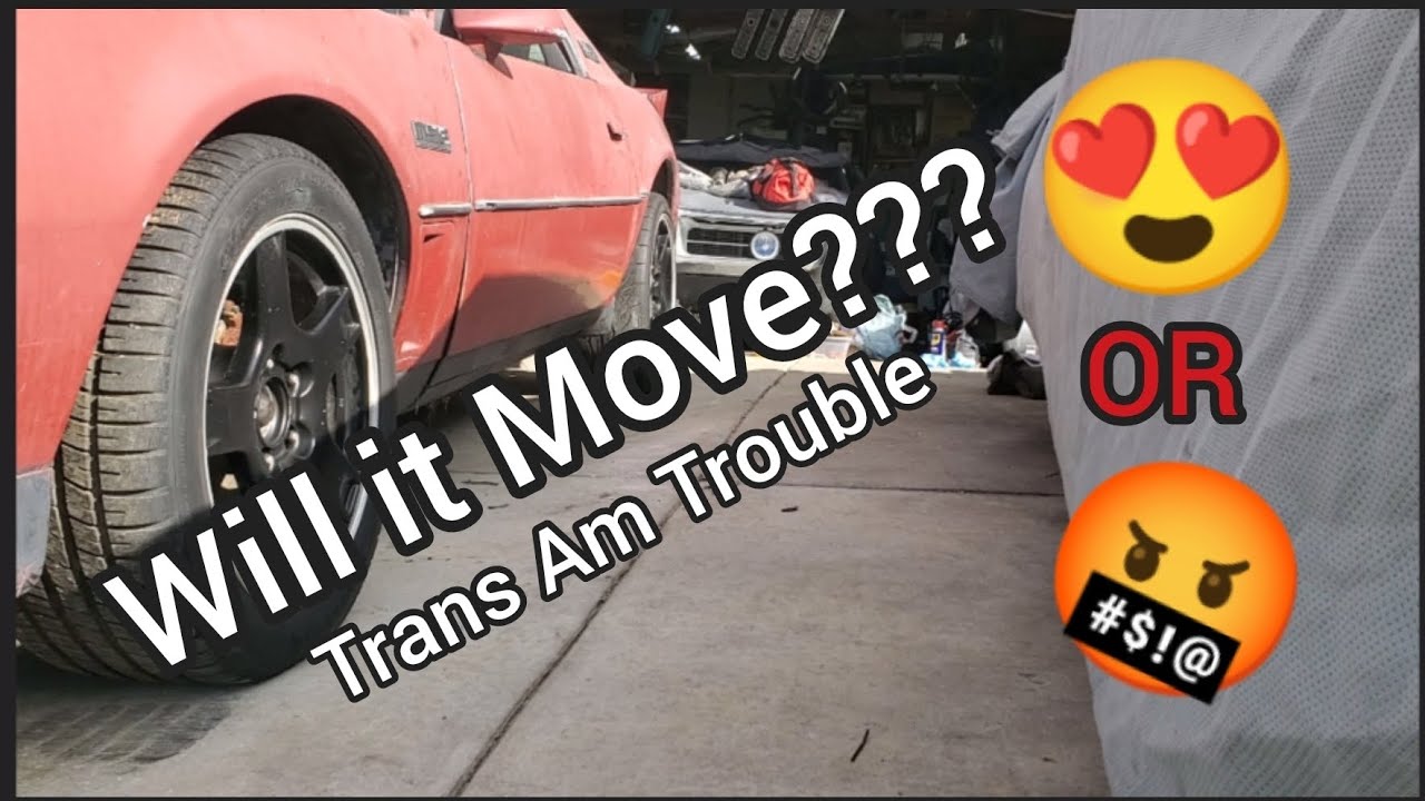 1982 MSE Trans Am Fire and Drive | Pontiac 301 Power | Performance Parts and Mods