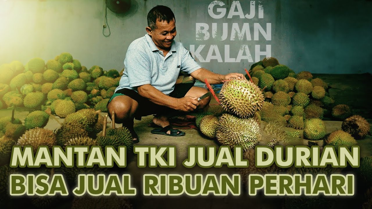 Dedengkot Durian Trenggalek! Ribuan Durian Laku dalam Sehari, Bahkan yg Masih di Pohon!