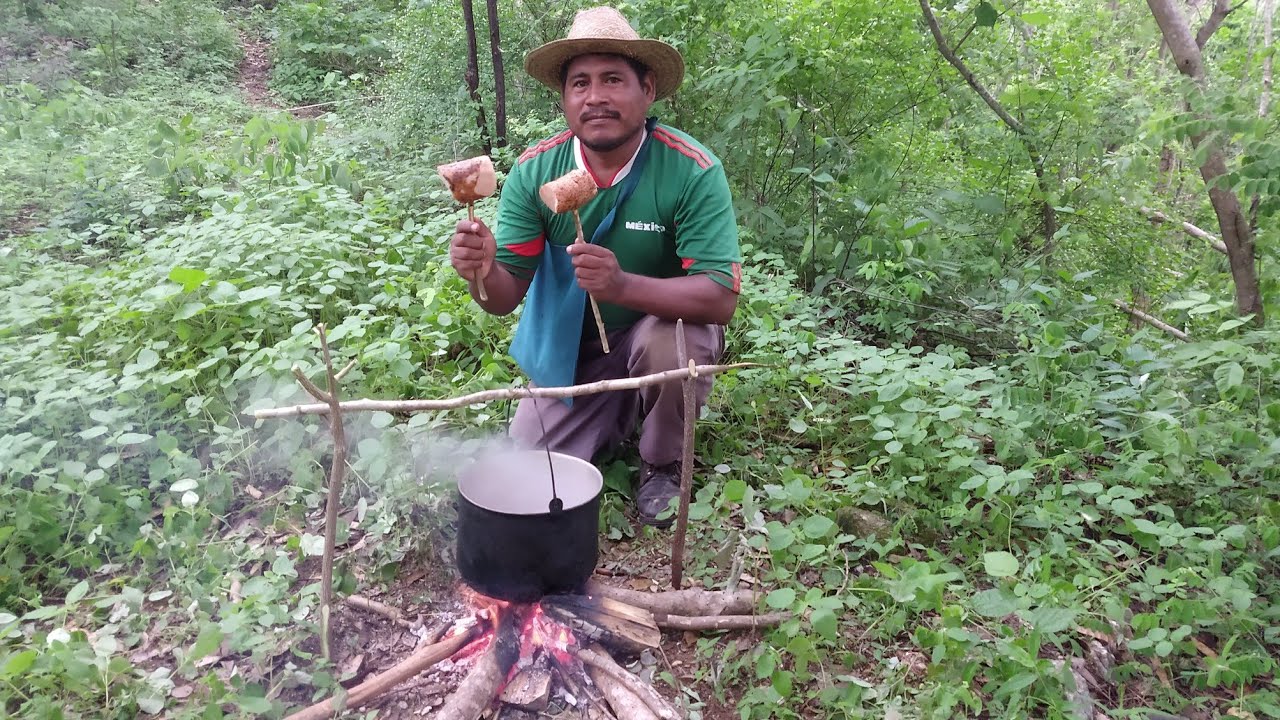 estas son raices comestibles,camote de cerro o camote vaquero 🤠