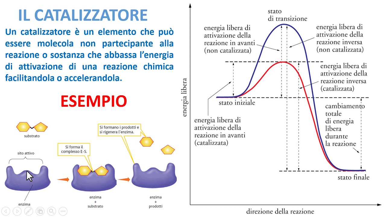 I CATALIZZATORI