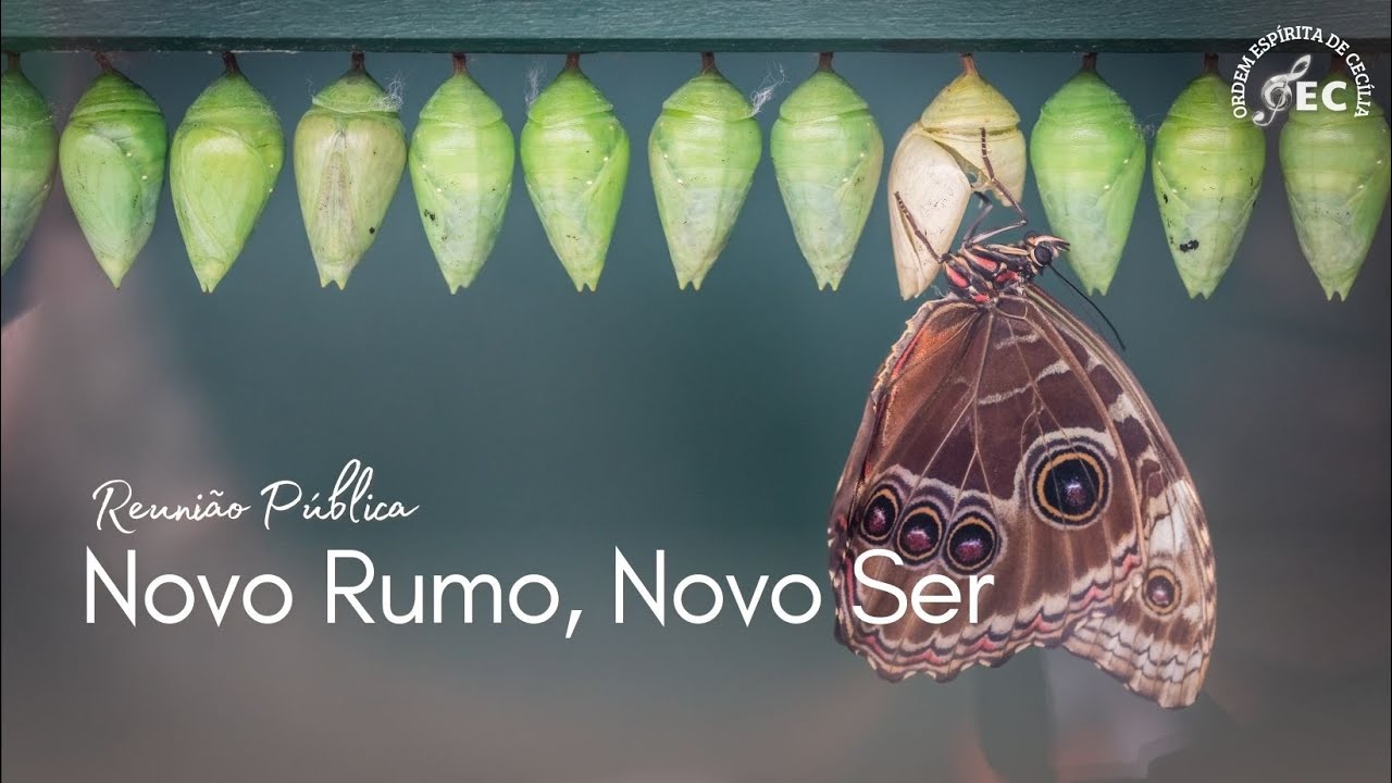 Novo Rumo, Novo Ser