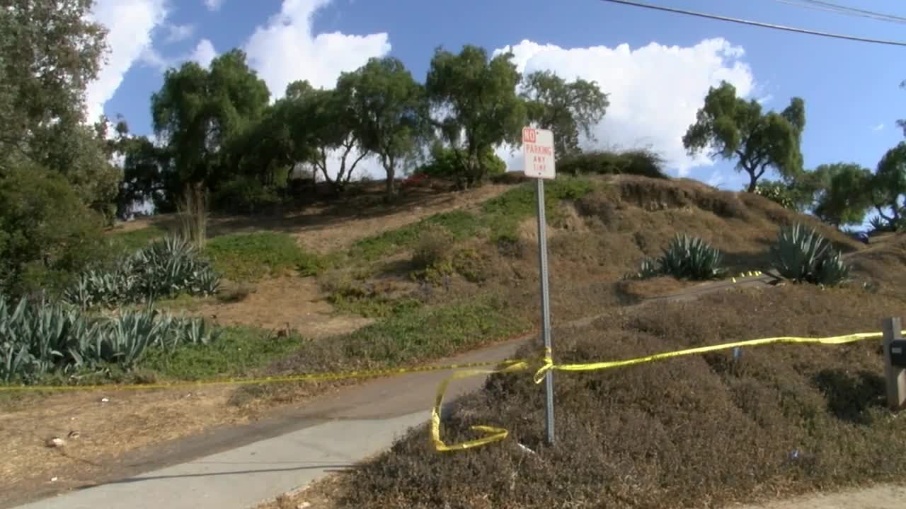 National City Homicide at Teen House Party