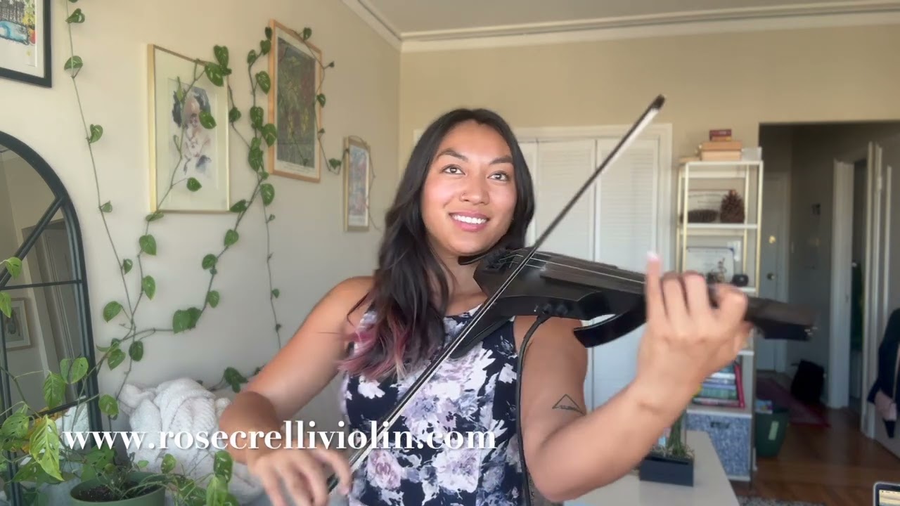 I'll Be There for You - The Rembrandts - VIOLIN COVER- Friends Theme  - San Francisco Violinist