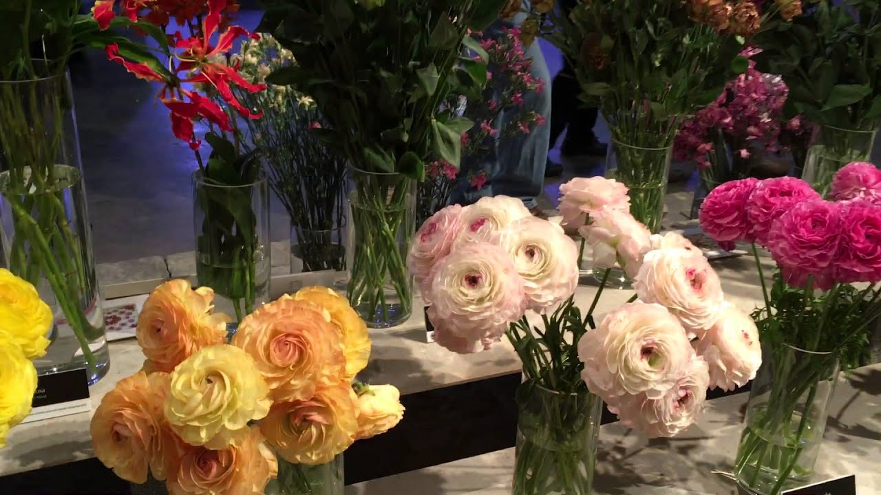 Philadelphia Flower Show 2016
