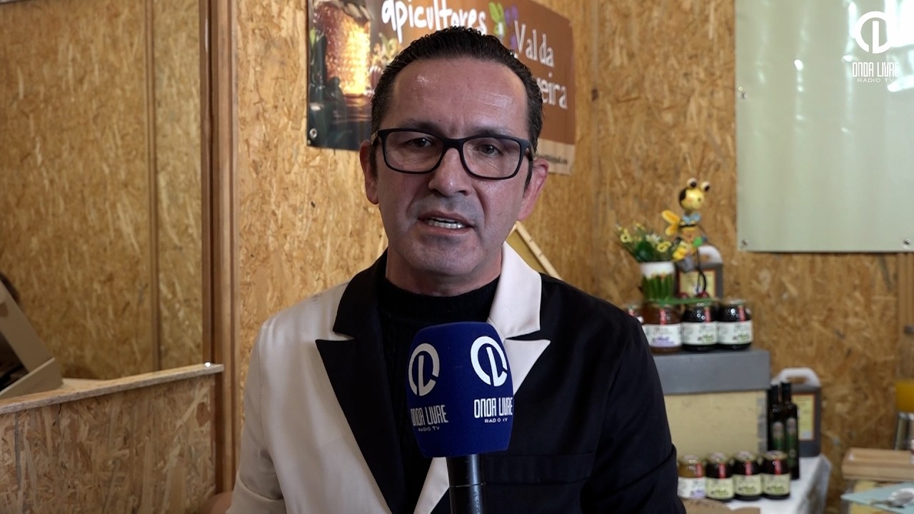 Certame Amendoeiras em Flor atrai visitantes a Vila Flor