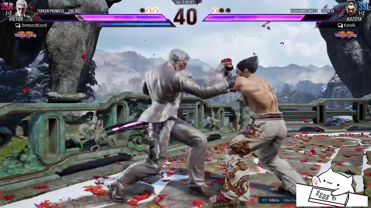 Tekken 8 party