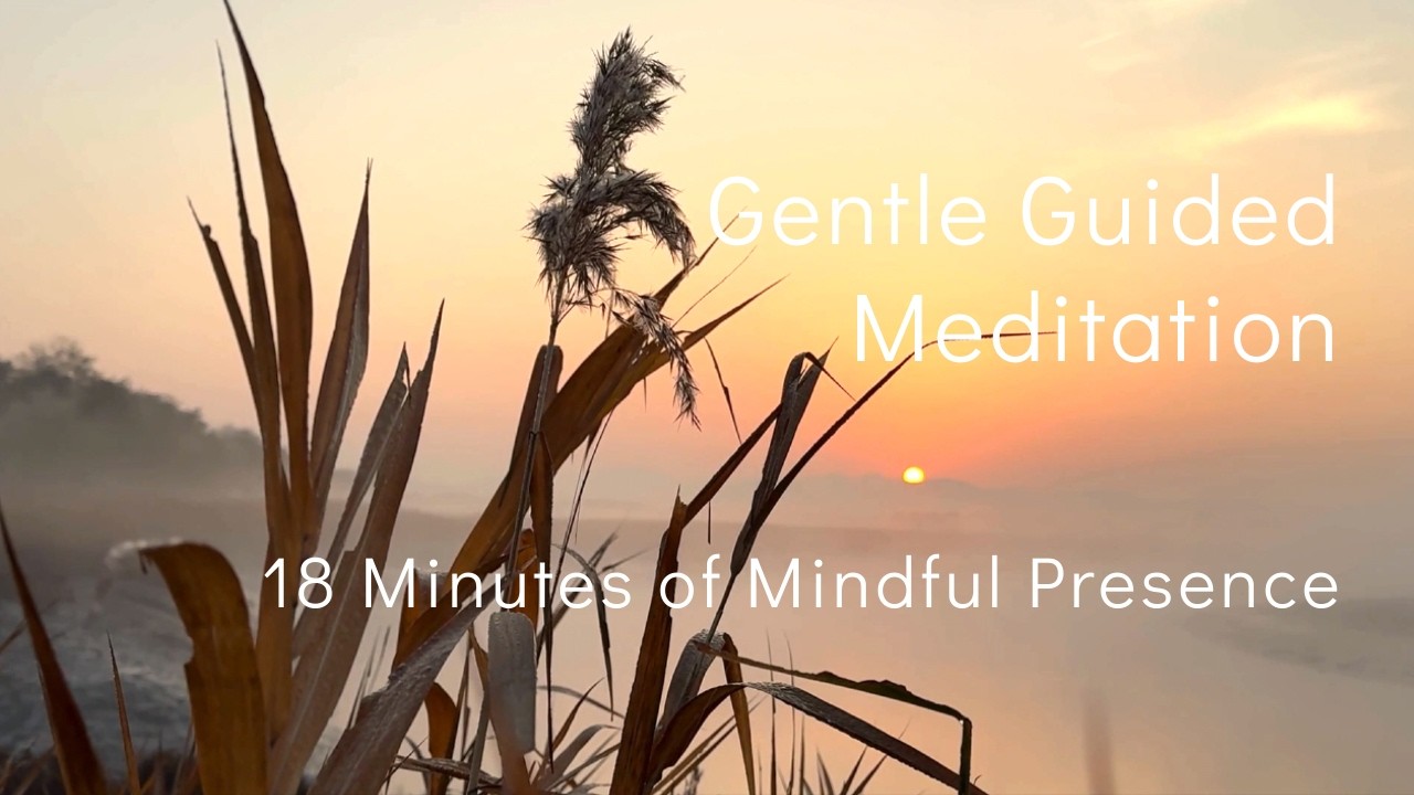 Gentle Guided Meditation | 18 Minutes of Mindful Presence