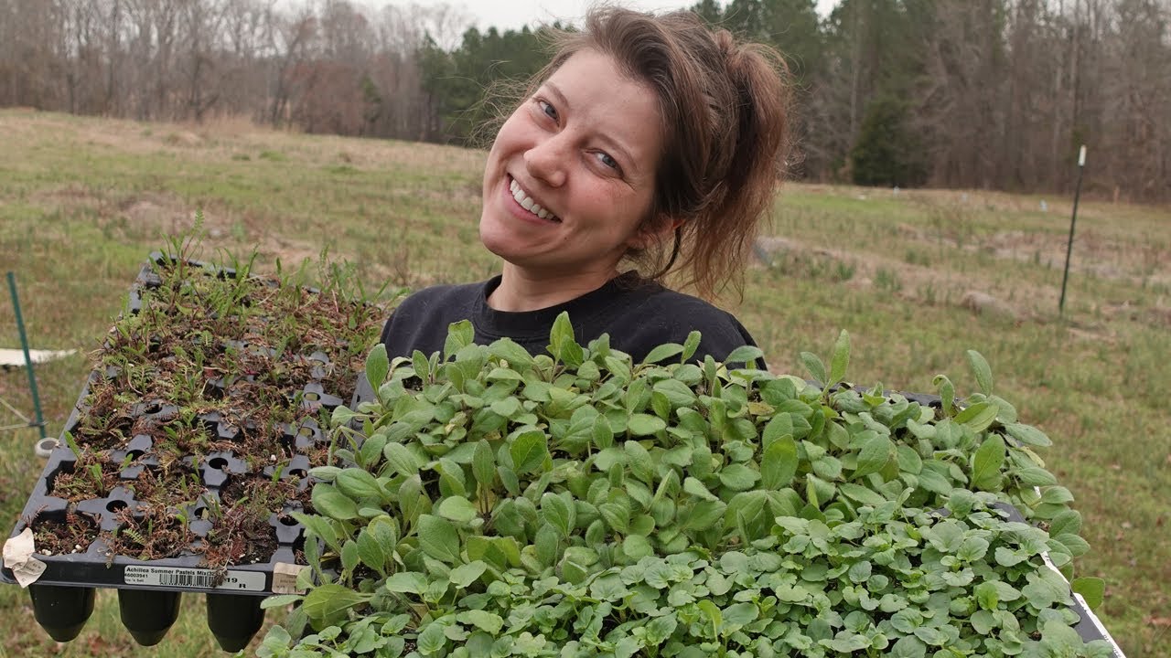 We've Planted HUNDREDS of Plants! | April 2025 Vlog | Ohcluck