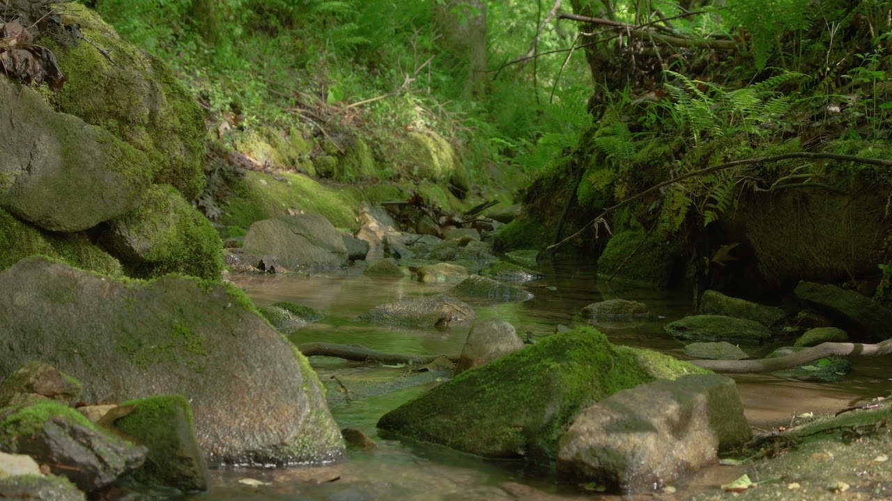 Mindful Meditations &mdash; Coping with Difficult Emotions