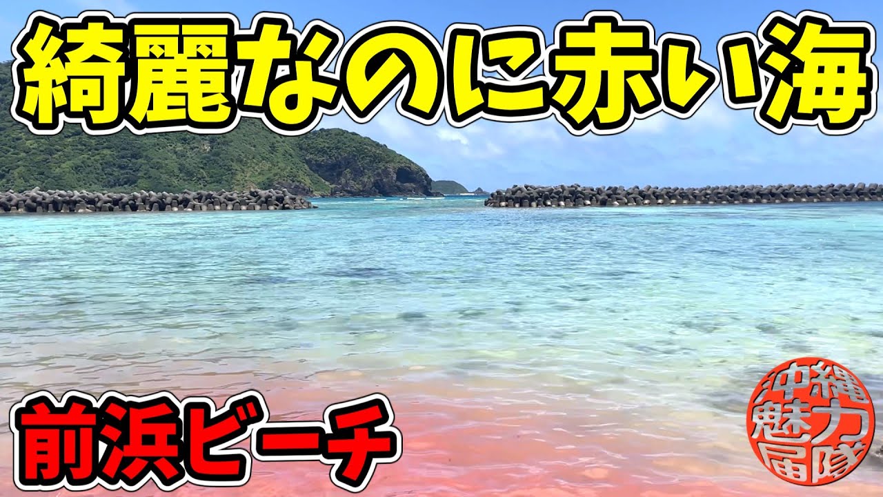 【前浜ビーチ】阿嘉島の超絶綺麗なビーチなのに赤い海って何故？阿嘉大橋・いびがなしの宮・御殿の木・前浜ビーチ！