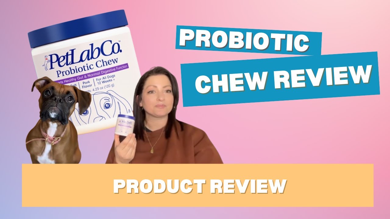 I tried PetLab Co's Probiotic Chews for my grass eating dog - Honest Review