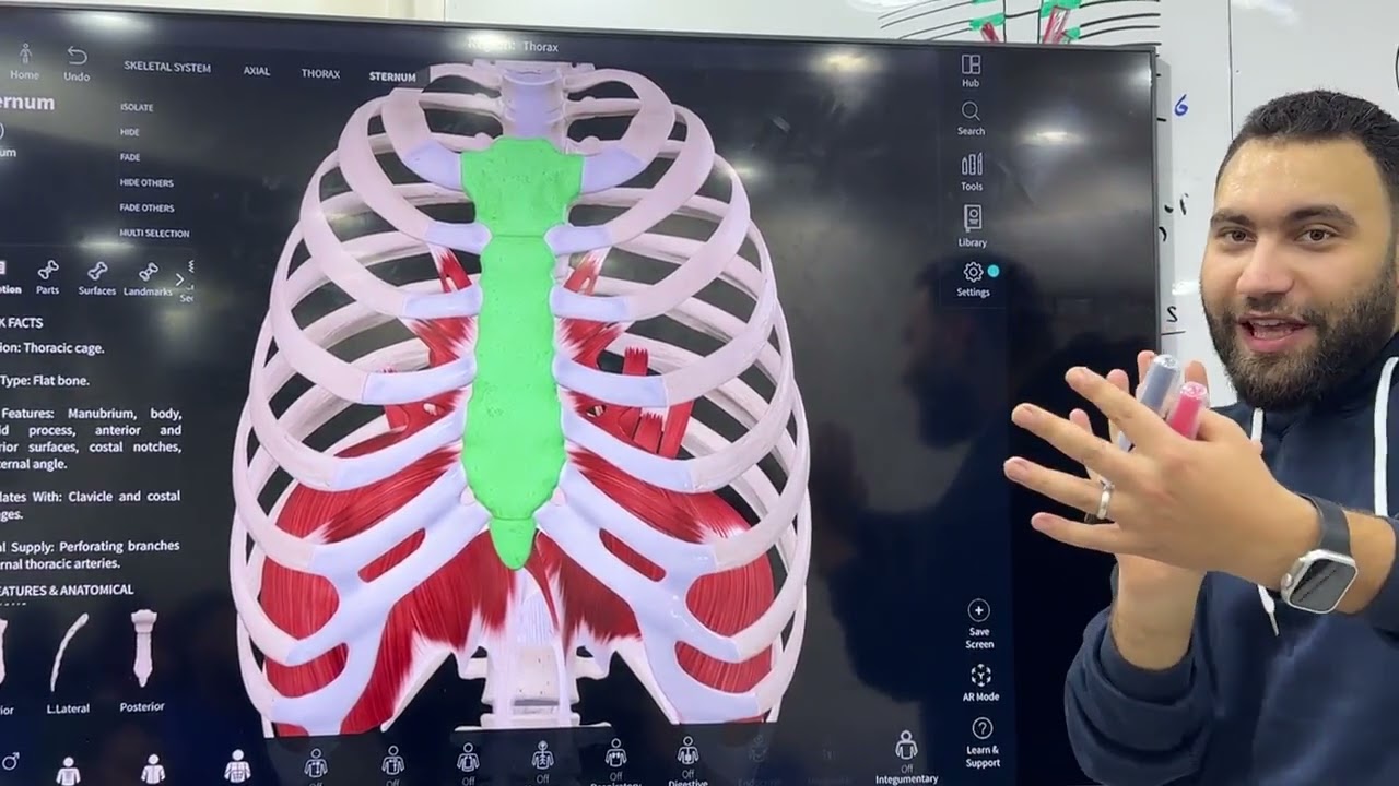 lecture 2 module 104 anatomy القصر العينى