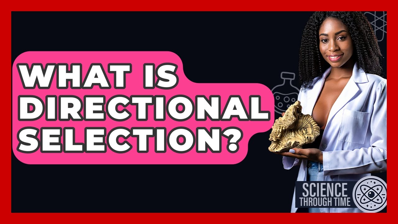 What Is Directional Selection? - Science Through Time