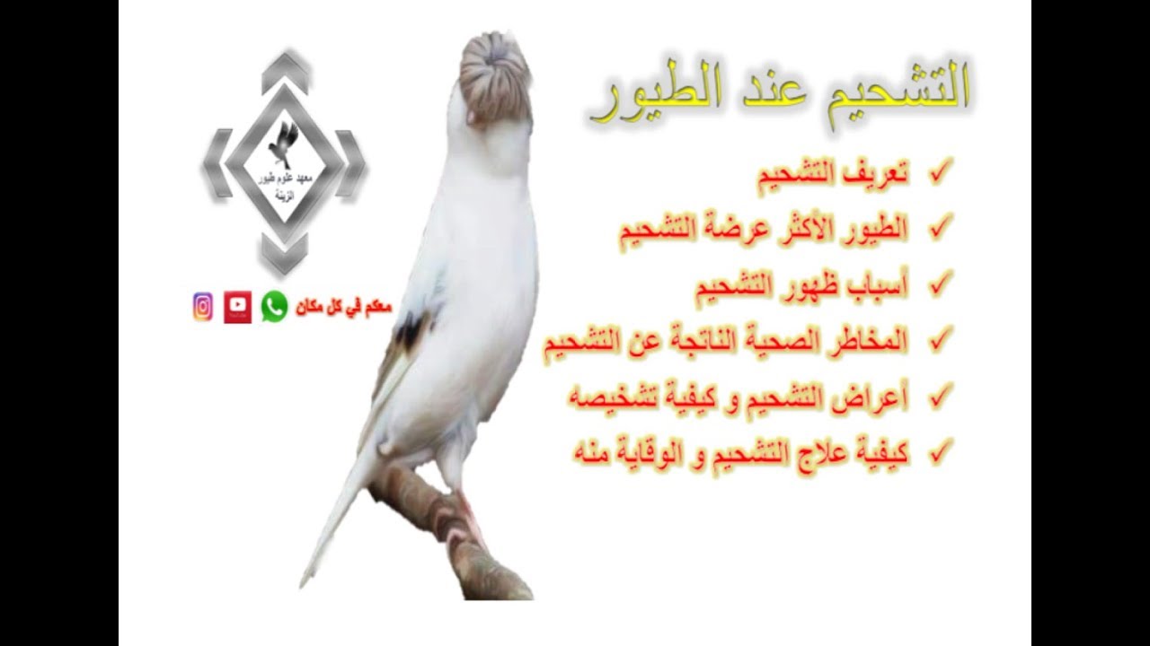 كيفية علاج التشحم وكشف عليه والوقاية منه