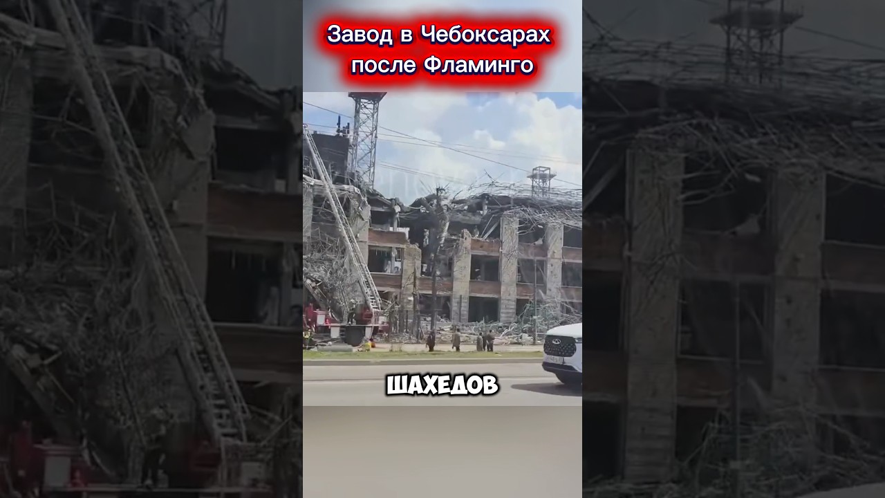 Вот как выглядит российский завод &laquo;ВНИИР - прогресс&raquo; после прихода Фламинго