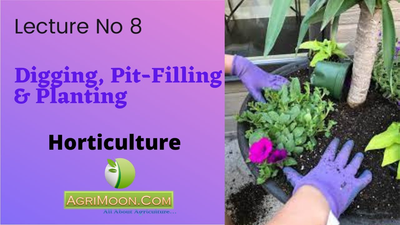 Digging, Pit-filling & Planting  | Horticulture | Lecture 8 | Debjani Pandit | AgriMoon