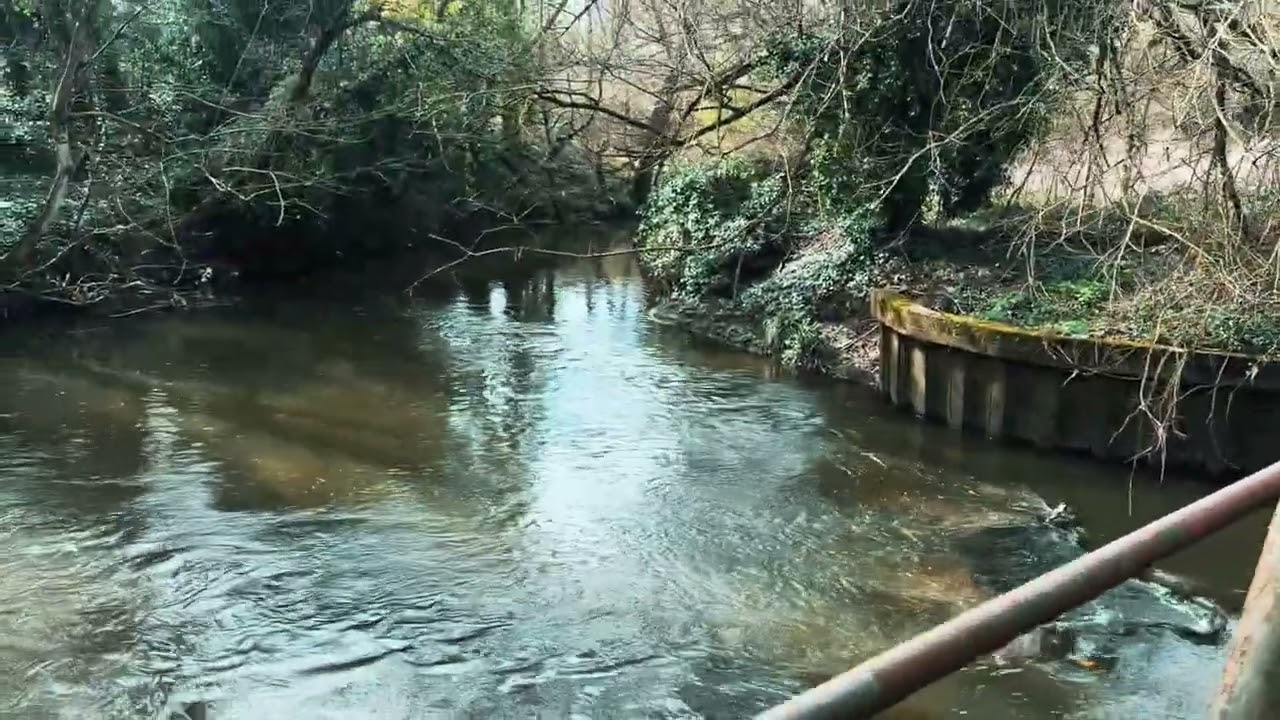 🚶🏼‍♂️Walking Through a Hidden Forest in London | Ealing to Greenford🌳🪵
