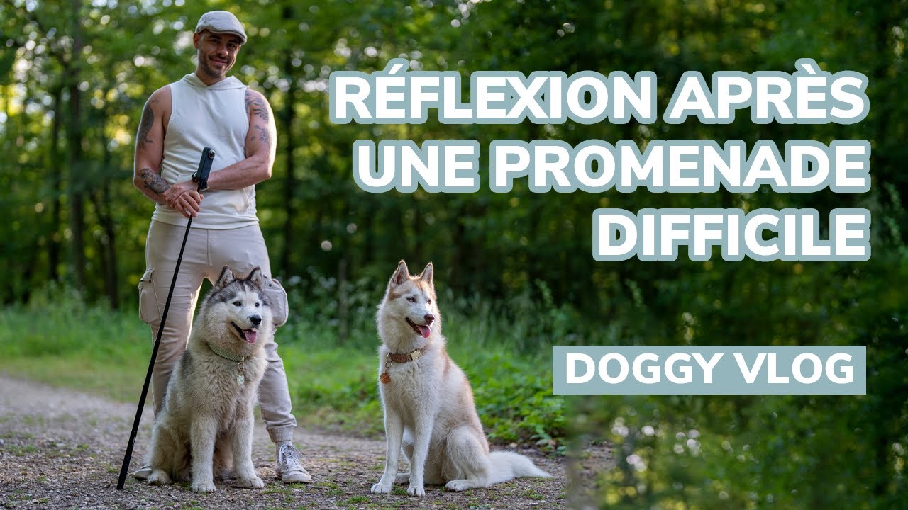 Une réflexion après une promenade difficile