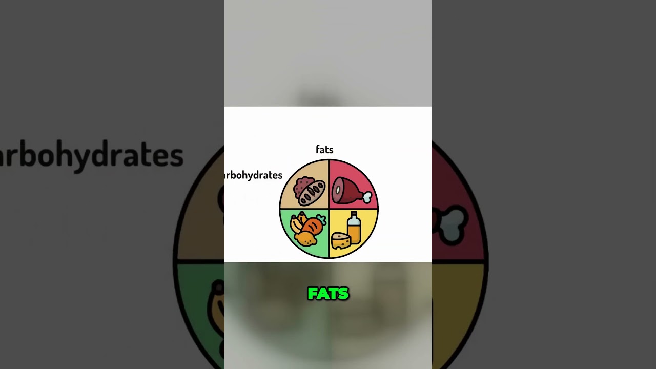 New - Animals Including Humans year 4