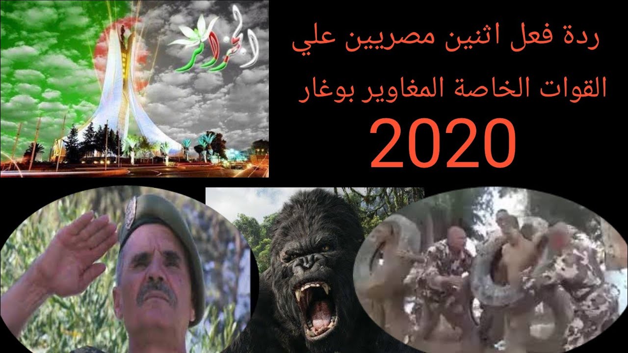 القوات الخاصة الجزائريةبوغارForces spéciales algériennes Boughar ردة فعل اثنين مصريين